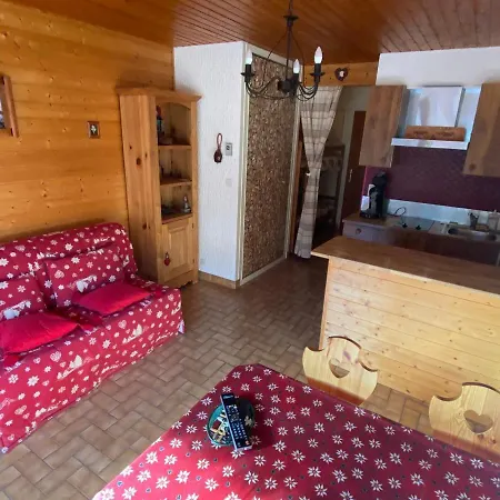 Apartment Confortable Pres Des Pistes Avec Parking, Animaux Acceptes - Fr-1-692-57