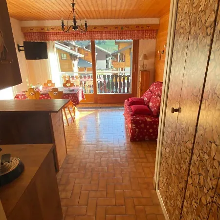 Apartment Confortable Pres Des Pistes Avec Parking, Animaux Acceptes - Fr-1-692-57